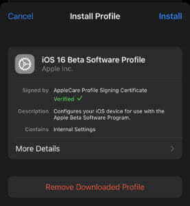 Install Profile iOS Beta Software Profile